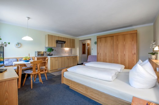 Apartment in Flachau, Salzburgerland
