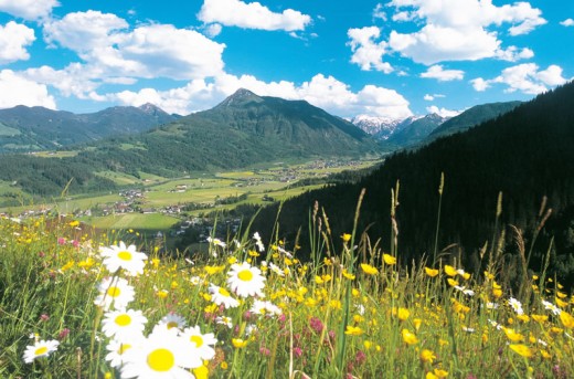 Sommer in Flachau